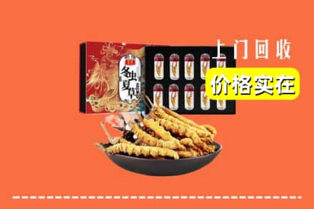 西双版纳州勐海回收虫草